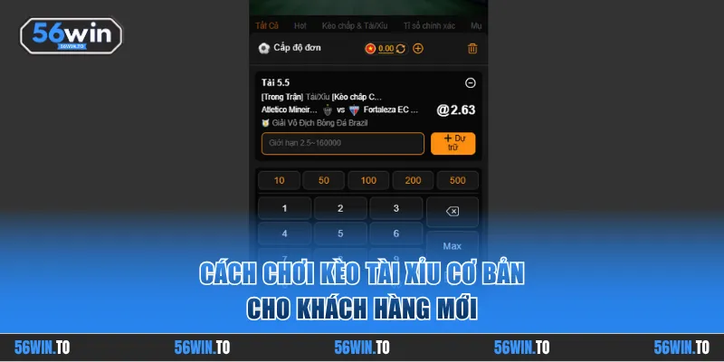 Cách chơi kèo tài xỉu cơ bản cho khách hàng mới