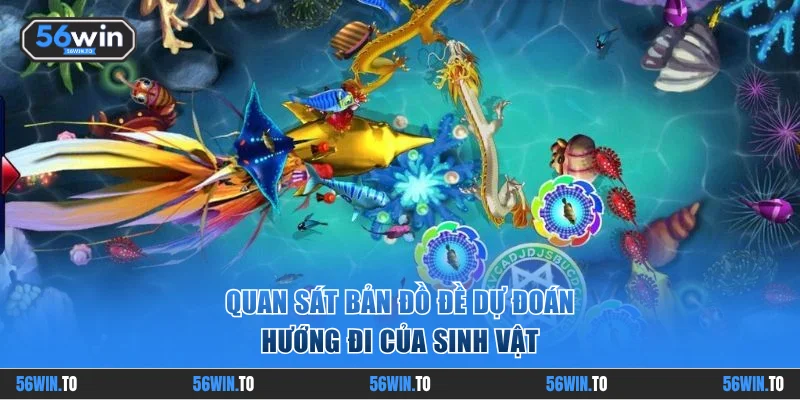 Quan sát bản đồ đề dự đoán hướng đi của sinh vật